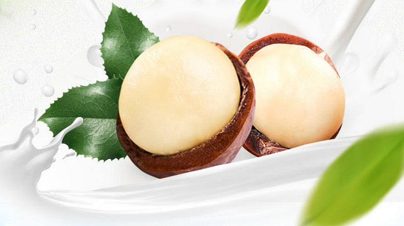 MACADAMIA NUT Essential Oil - Capital Elements 2 Wellness and Fitness