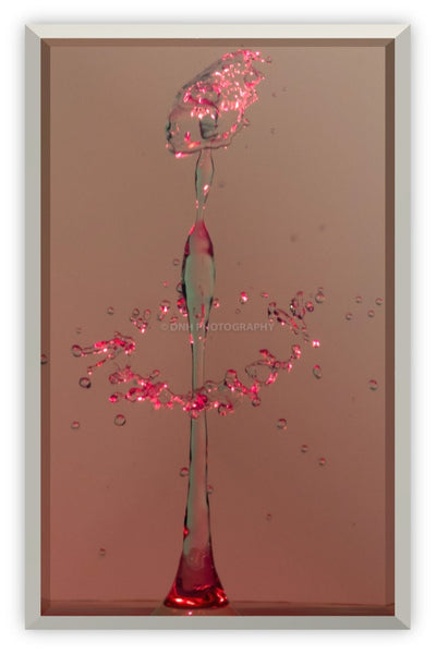 Red African Queen - Capital Elements 2 Wellness and Fitness